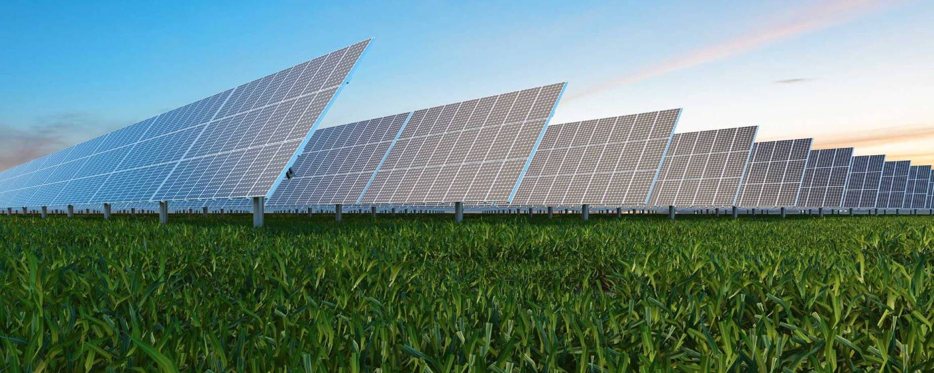 Renewable For Business Tariff illustration image